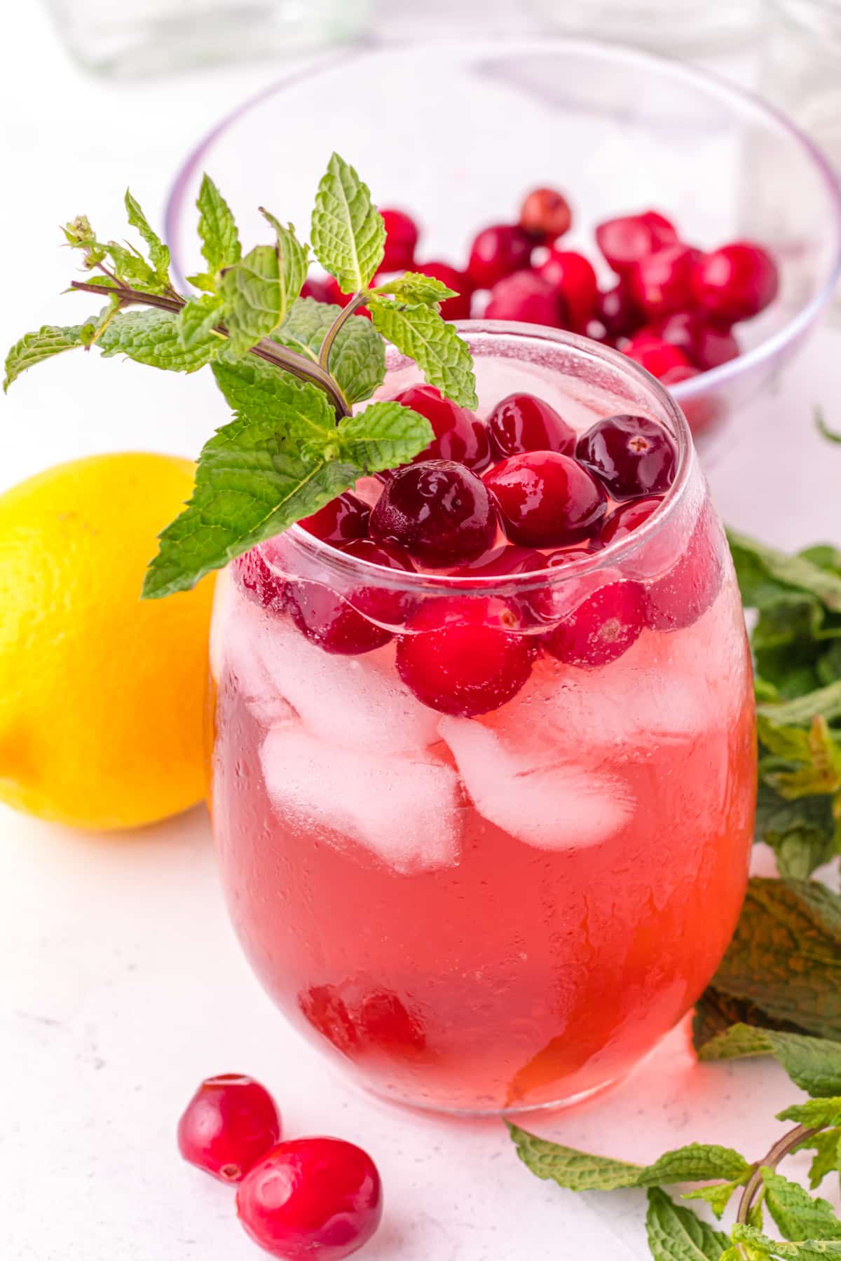 Cranberry gin cocktail with mint garnish.