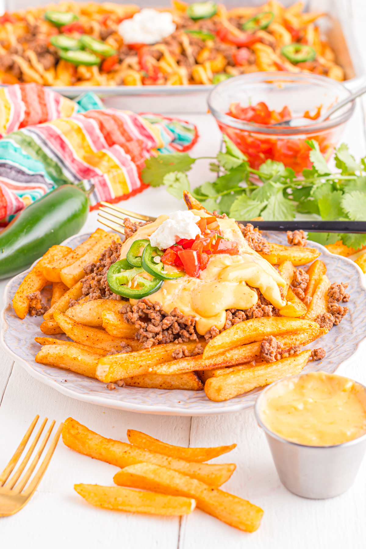 Loaded taco bell nacho fries recipe  on a plate.