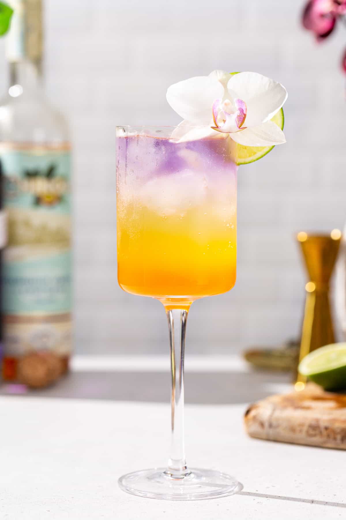 Beautiful cocktail with an orchid.