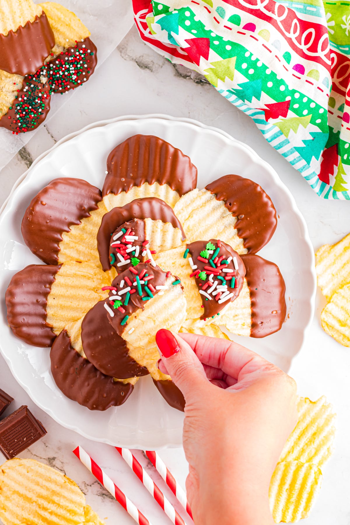 Hands holding a chocolate covered chip covered in sprinkles.